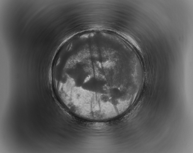 X0000094810839200712071224