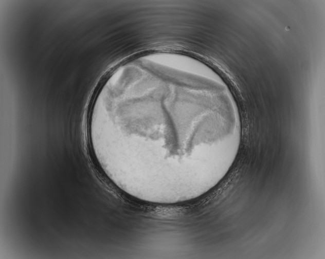 X0000094810840200712071224