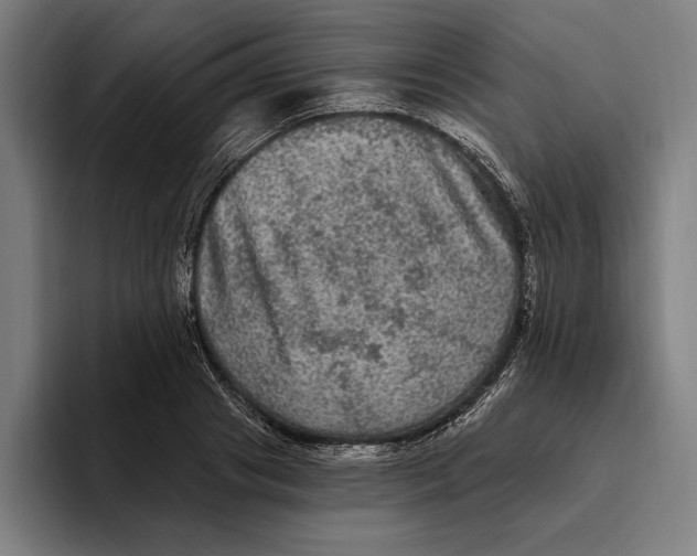 X0000094810841200712071224