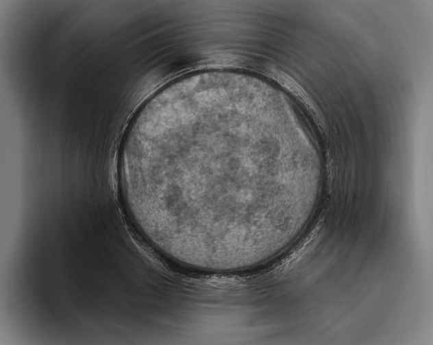 X0000094810842200712071224