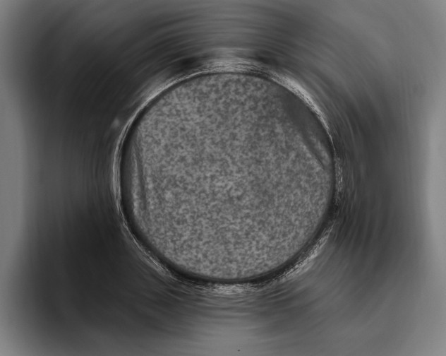 X0000094810843200712071224