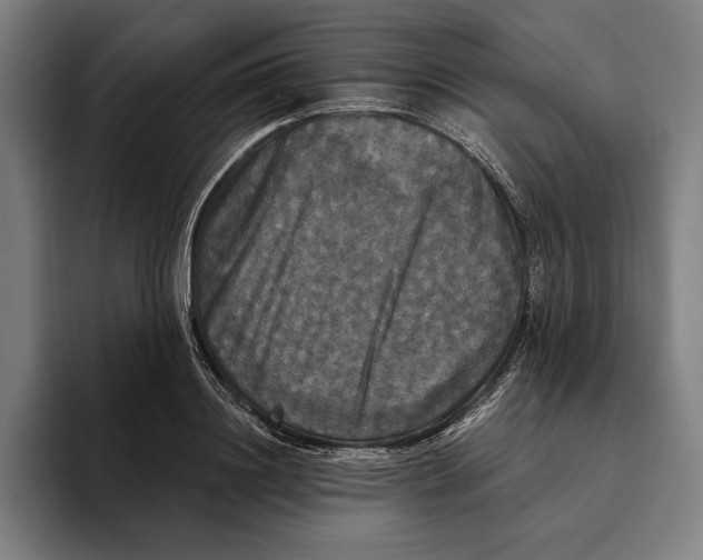 X0000094810844200712071224