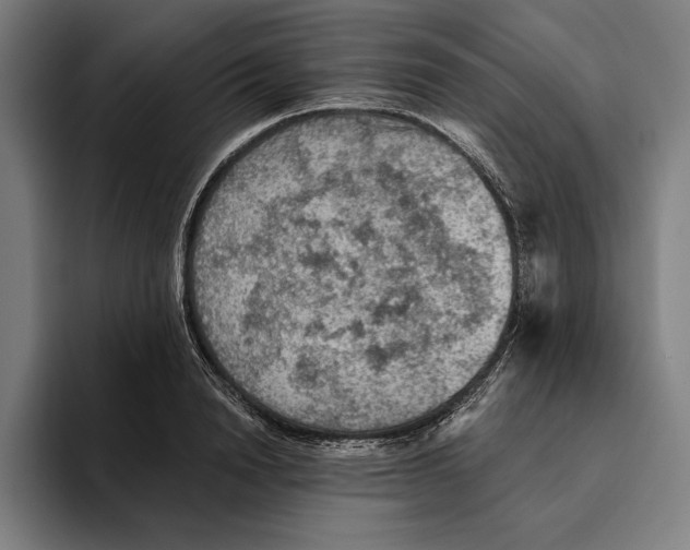 X0000094810846200712071224