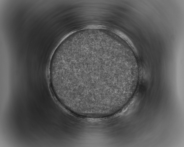 X0000094810852200712071224