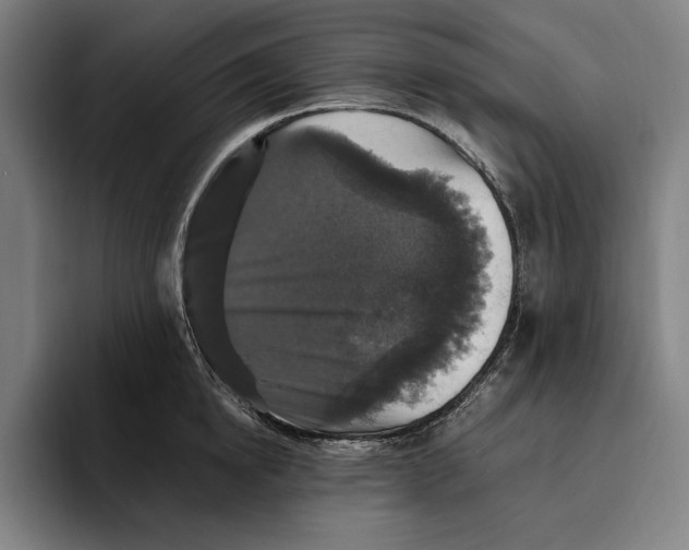 X0000094810854200712071224