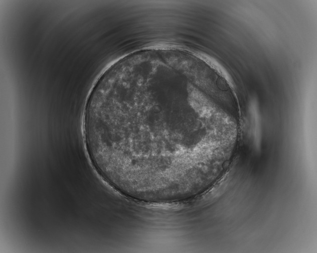 X0000094810855200712071224