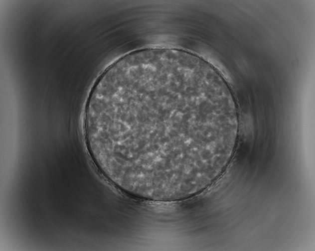 X0000094810856200712071224