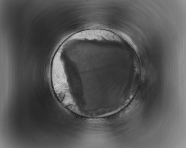 X0000094810863200712071224