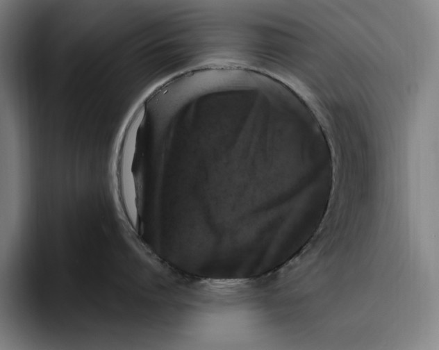 X0000094810864200712071224