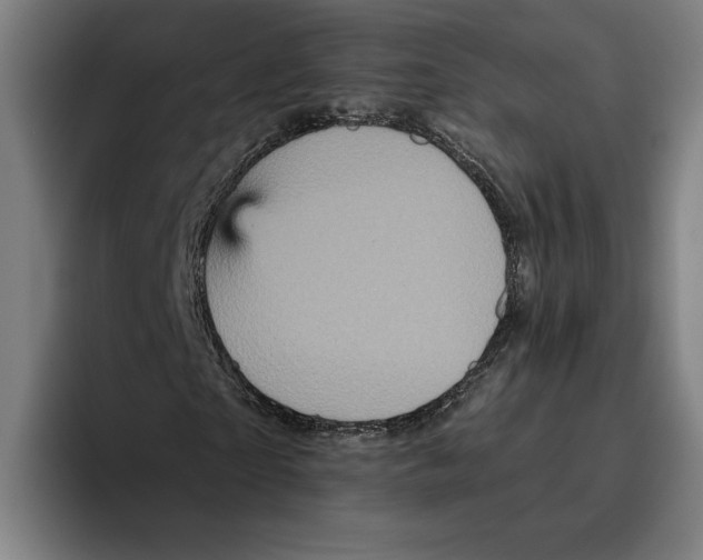 X0000094810865200712071223