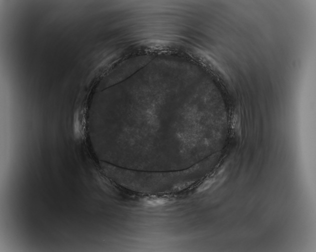 X0000094810868200712071223