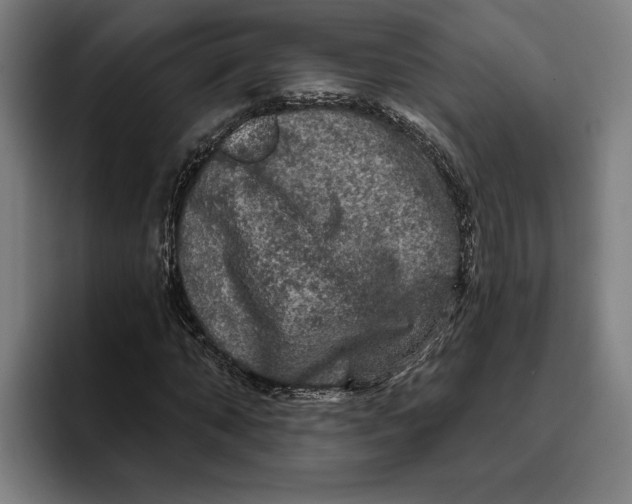 X0000094810870200712071223