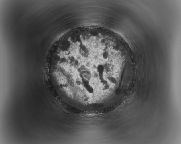 X0000094810871200712071223