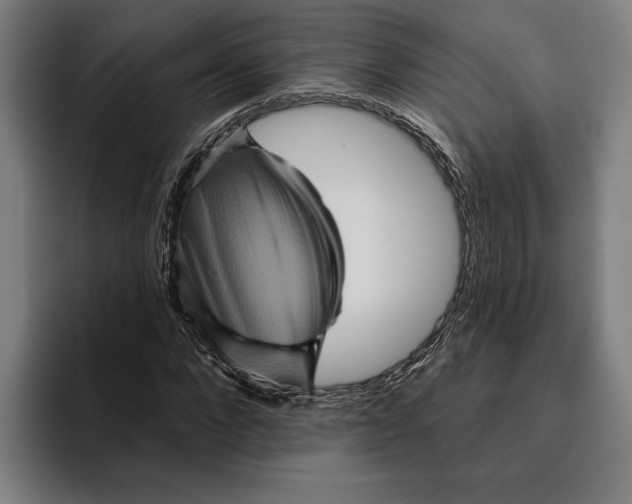 X0000094810872200712071223