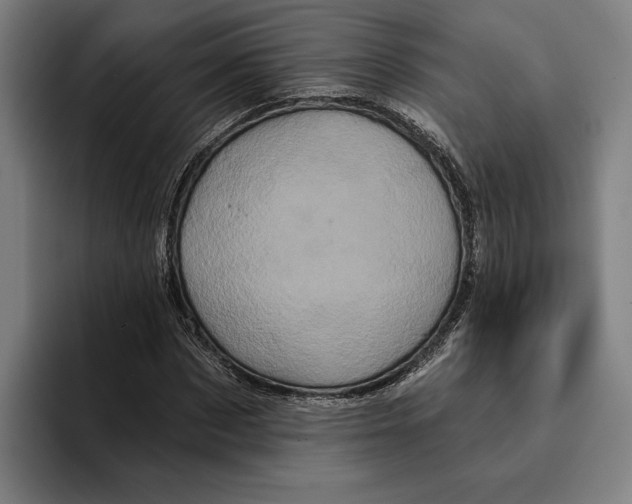 X0000094810873200712071223