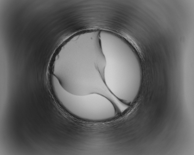 X0000094810876200712071223