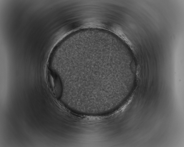 X0000094810877200712071223