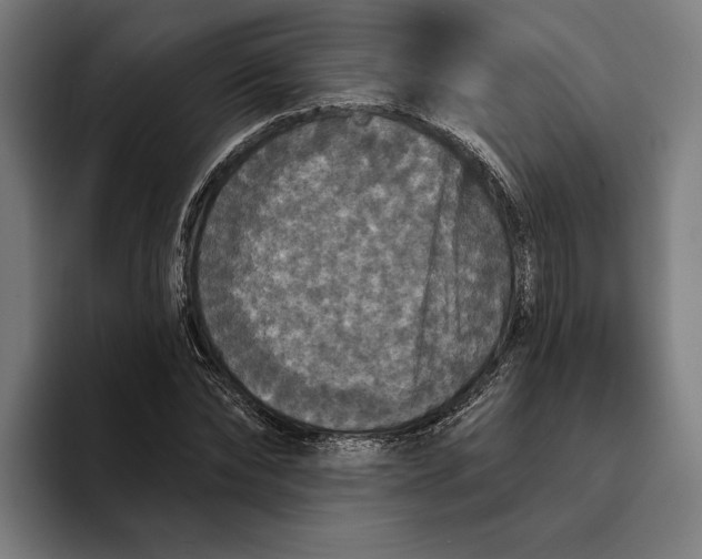 X0000094810878200712071223