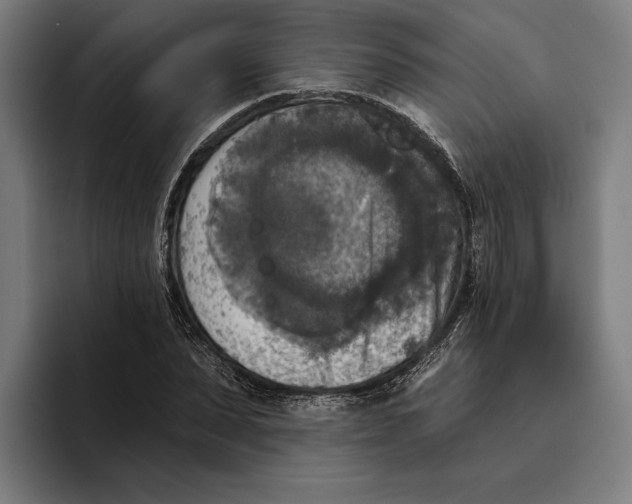 X0000094810879200712071223