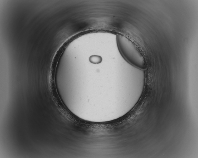 X0000094810880200712071223