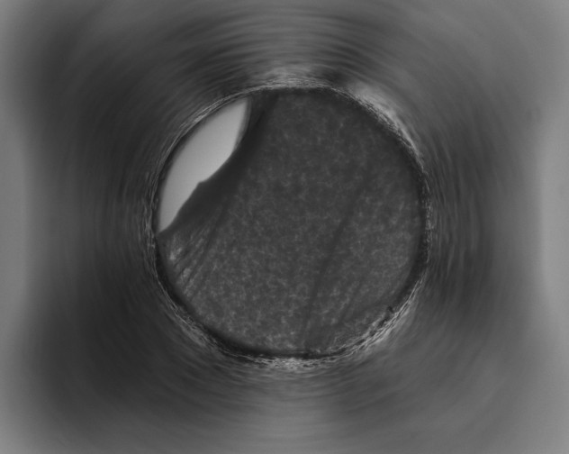 X0000094810881200712071223