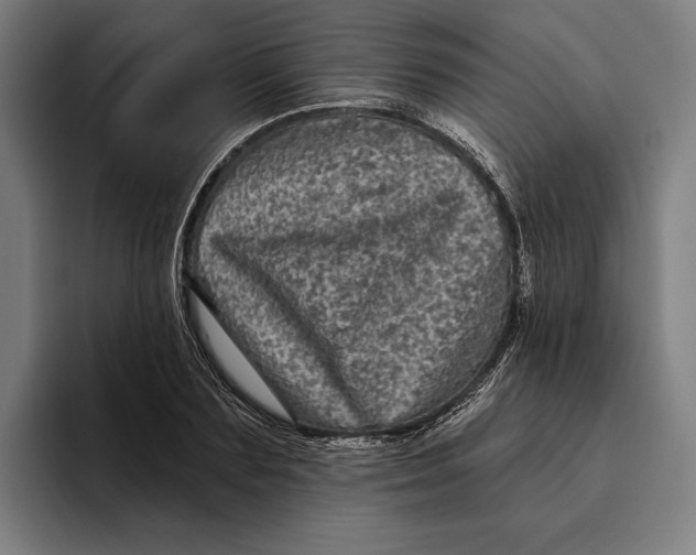 X0000094810883200712071223