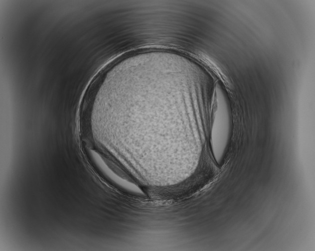 X0000094810884200712071223