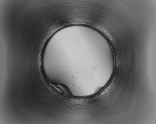 X0000094810885200712071223