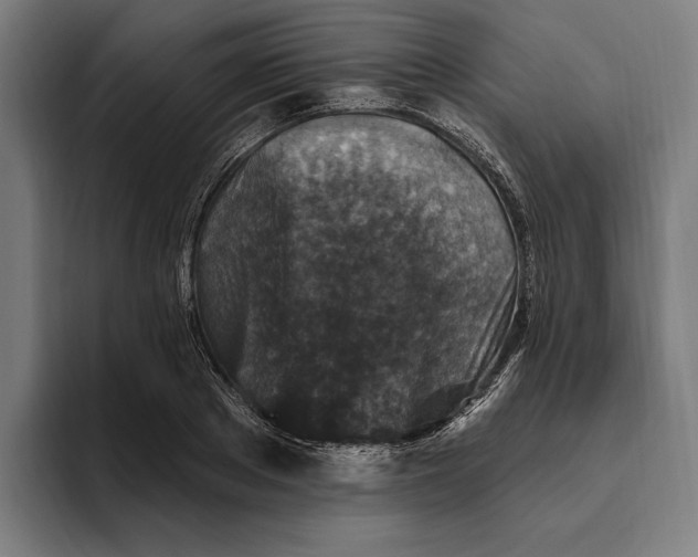 X0000094810889200712071223