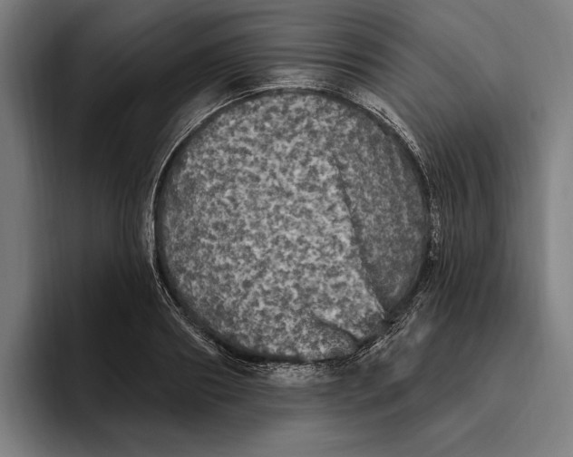 X0000094810890200712071223