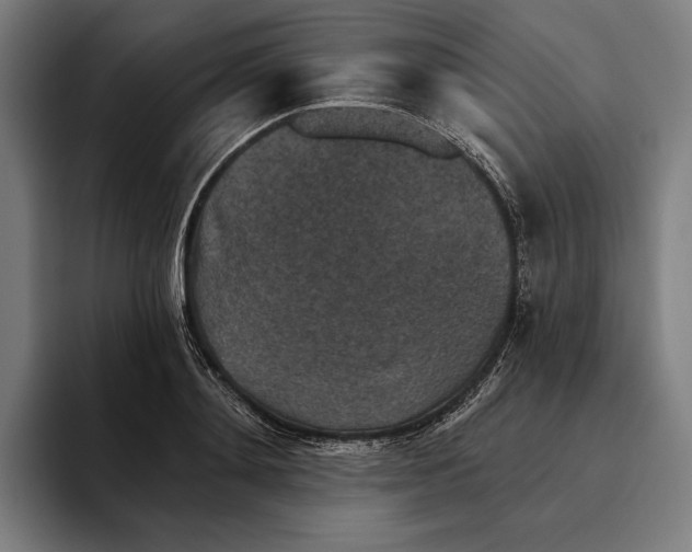 X0000094810892200712071223