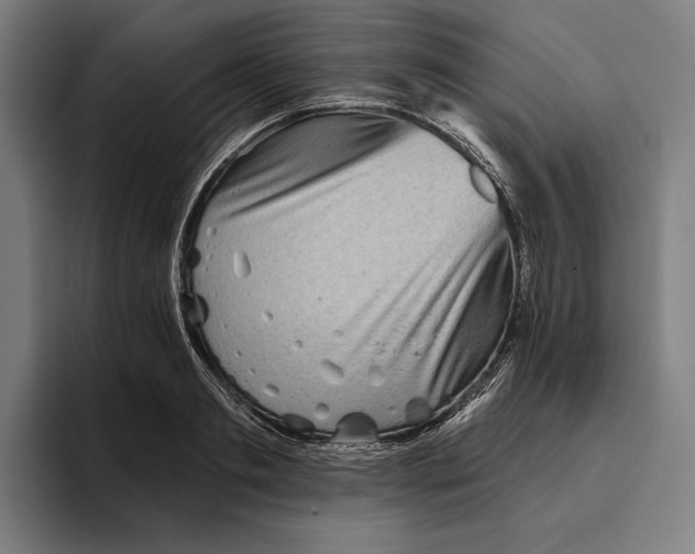 X0000094810893200712071223