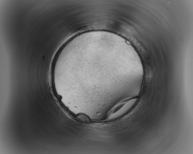 X0000094810894200712071223