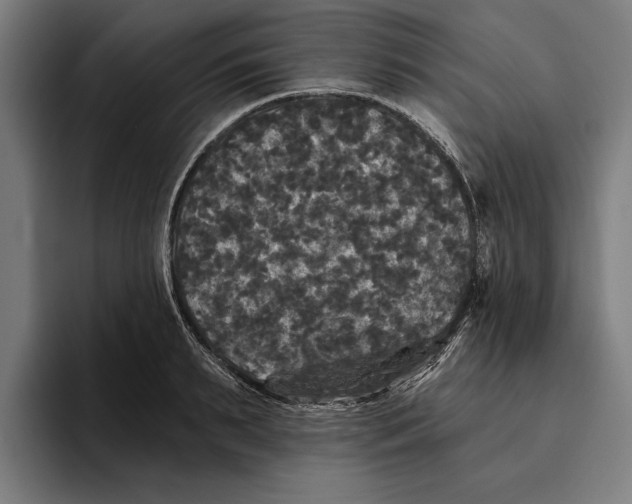 X0000094810895200712071223