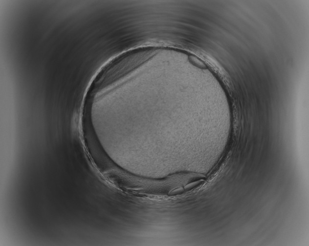 X0000094810896200712071223