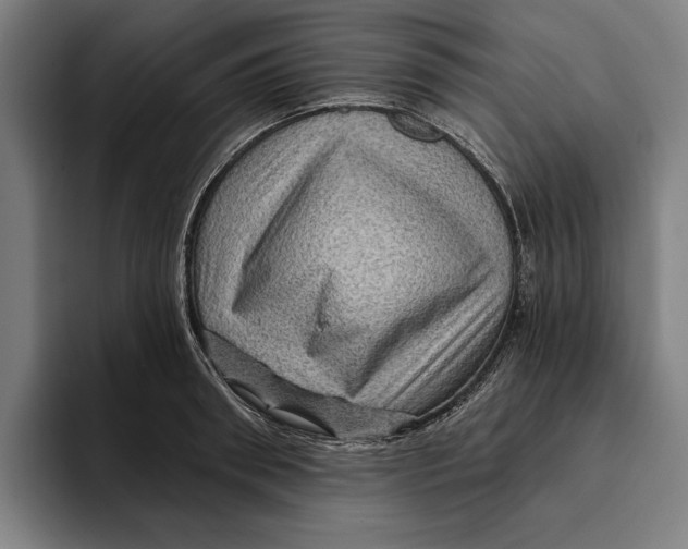 X0000094810898200712071223