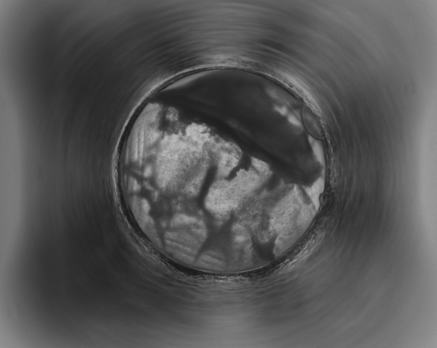 X0000094810899200712071223