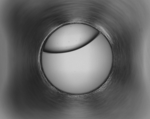 X0000094810900200712071223