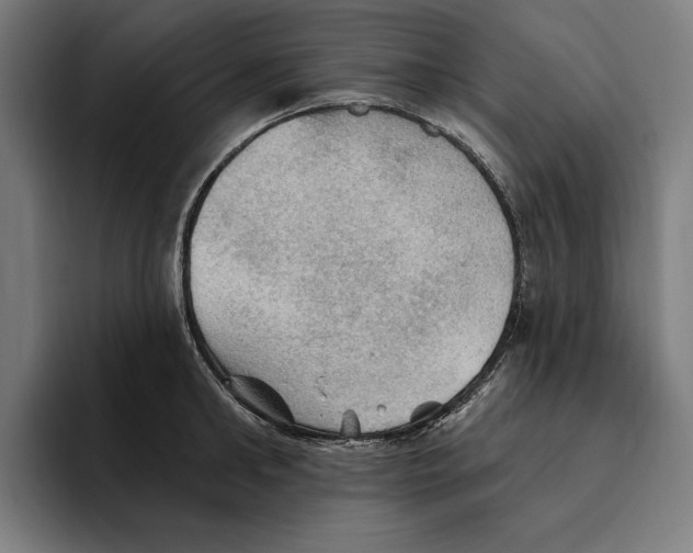 X0000094810902200712071223