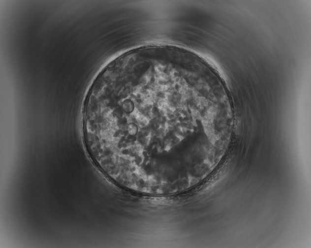 X0000094810903200712071223