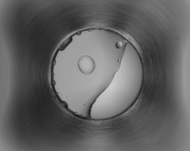 X0000094810904200712071223