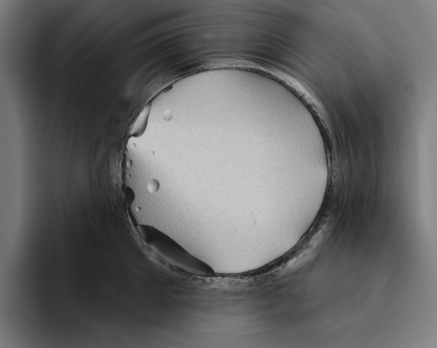 X0000094810905200712071223