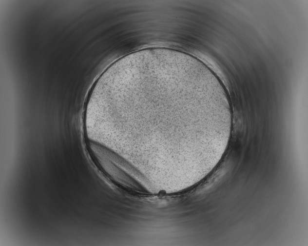 X0000094810906200712071223