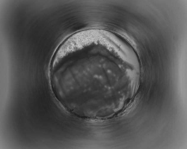 X0000094810907200712071223