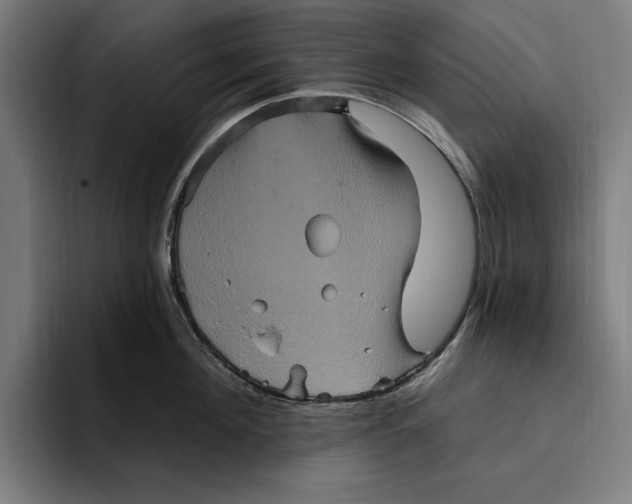 X0000094810908200712071223