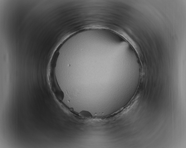 X0000094810909200712071223