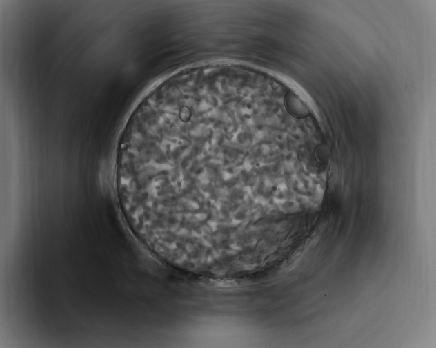 X0000094810911200712071223