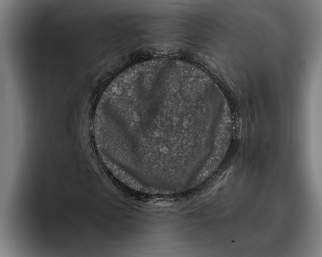 X0000094810913200712071222