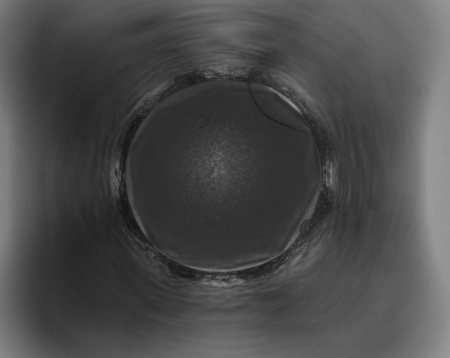 X0000094810915200712071222