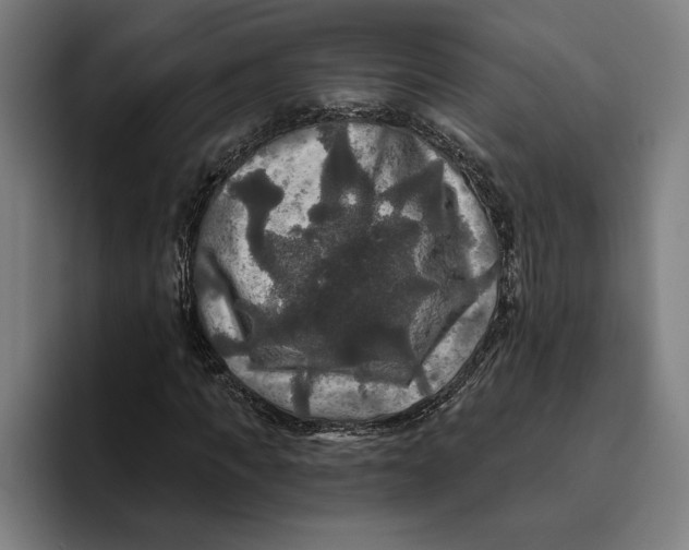 X0000094810917200712071222